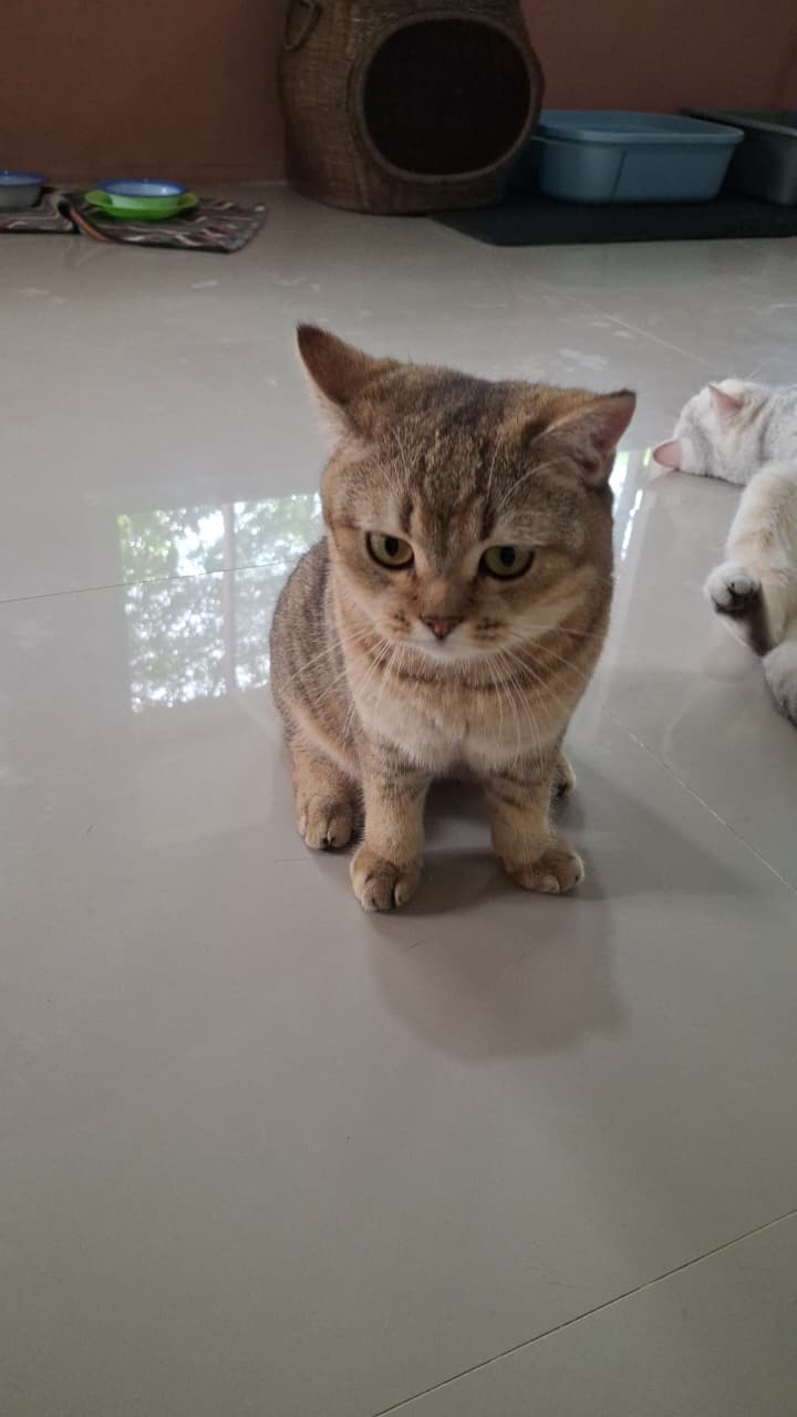 Luna
